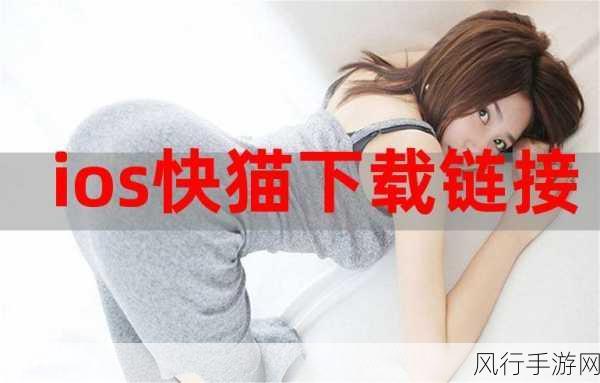 快猫猫VIP破解版-快猫猫VIP破解版:畅享无限精彩影视体验的必备利器!