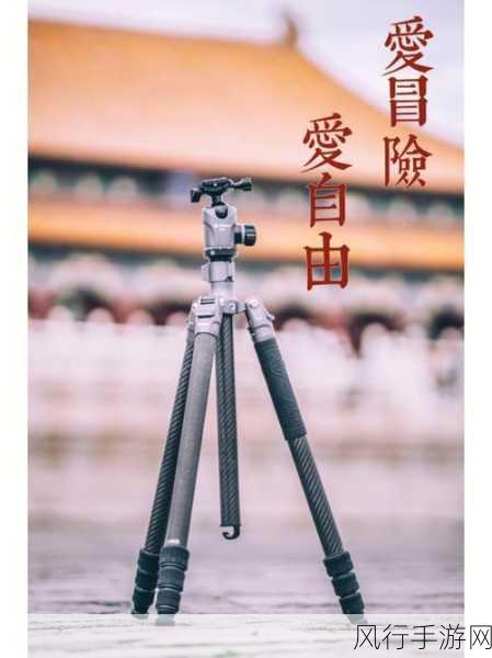 亚洲欧美有码-探索亚洲与欧美文化交汇的独特魅力与影响