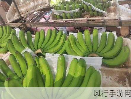 成都香蕉草莓科技有限公司-成都香蕉草莓科技有限公司：创新驱动，助力绿色科技未来发展