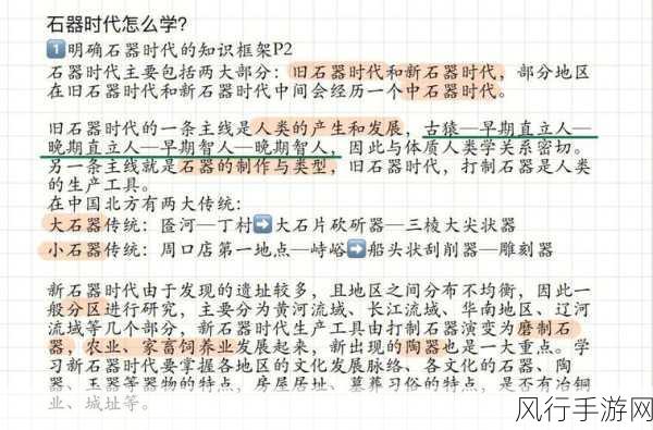 新石器时代机械入侵，高效攻略阵容揭秘与财经数据解析
