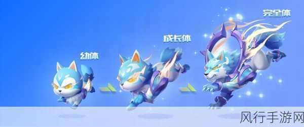 QQ飞车手游宠物哮天犬，解锁神话宠物的财富秘籍