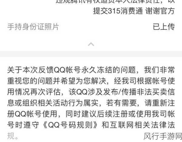 探索 2022 QQ 年度报告的神秘入口