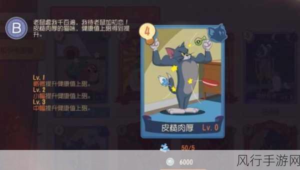 揭秘猫和老鼠手游,最强猫咪布奇玩法攻略深度剖析