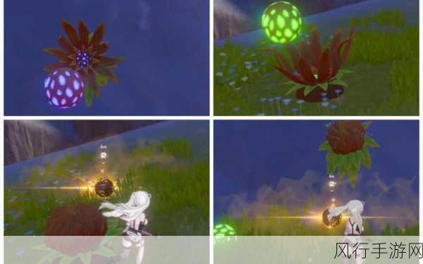 幻塔地岩植株全收集攻略,解锁财富与探险的双重乐趣
