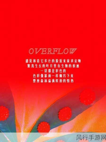 overfolw下一部-超越边界:探索未知的无尽可能性