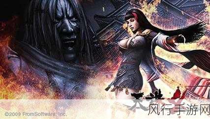 fromsoftware 天诛-黑暗之魂:重生与复仇的天诛传奇