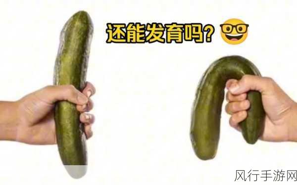 坤坤戳进别人的桃子里面-“坤坤勇闯他人桃园,展开一场奇妙冒险!”