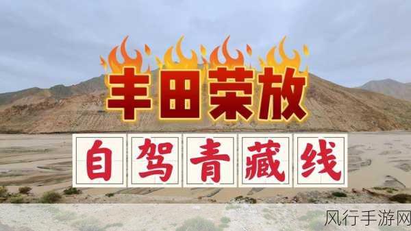 老狼仙踪林信息网贰佰信息金属网-探索老狼仙踪林信息网与贰佰信息金属网的深度合作潜力