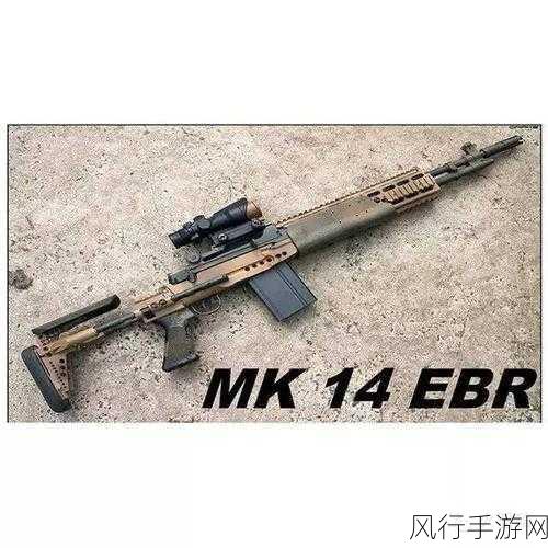 SKS和mk14-深入分析SKS和MK14步枪的性能及其历史背景