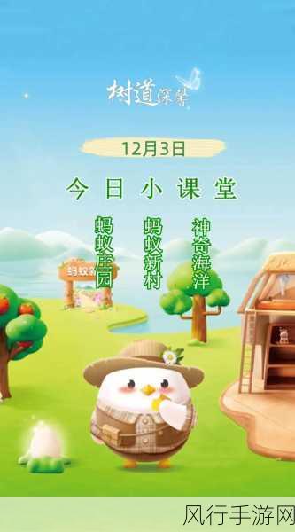 探索蚂蚁庄园 12 月 4 日的答案之谜