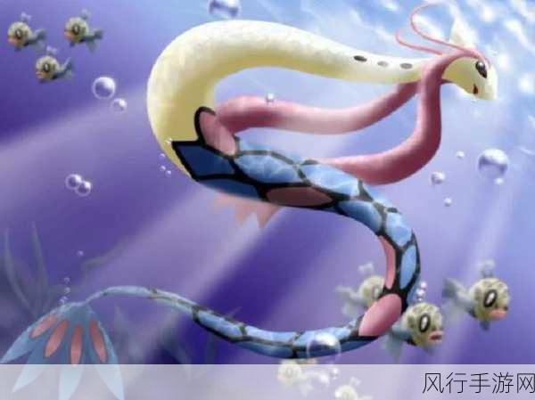 美纳斯性格配招-“全方位解析美纳斯性格及其最佳配招策略”