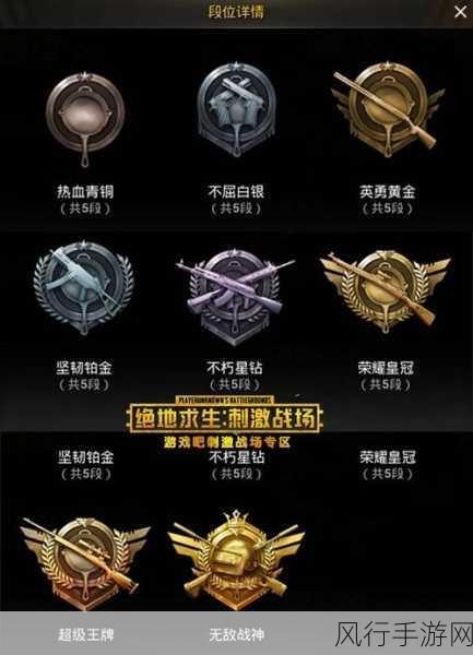 和平精英皇冠印记获取全攻略，解锁荣耀与实力的象征