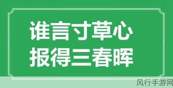 谁言寸草心，报得三春晖——深沉母爱永难忘