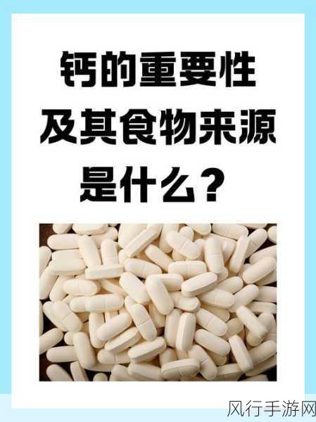 钙片网站-全面提升骨骼健康,探索拓展钙片的神奇作用与益处