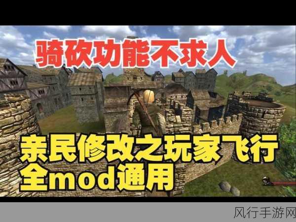 骑马与砍杀战团更改兵种属性-骑马与砍杀战团:深度自定义兵种属性的全面解析