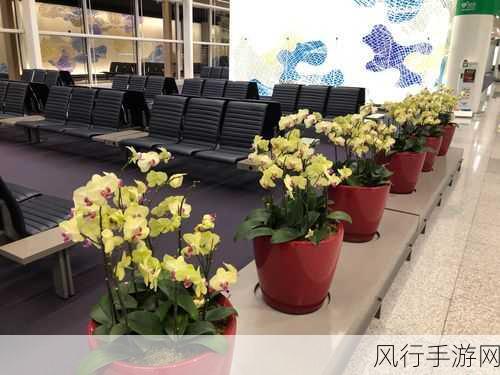 日韩一码二码-拓展日韩文化交流:一码二码的深度探索与应用
