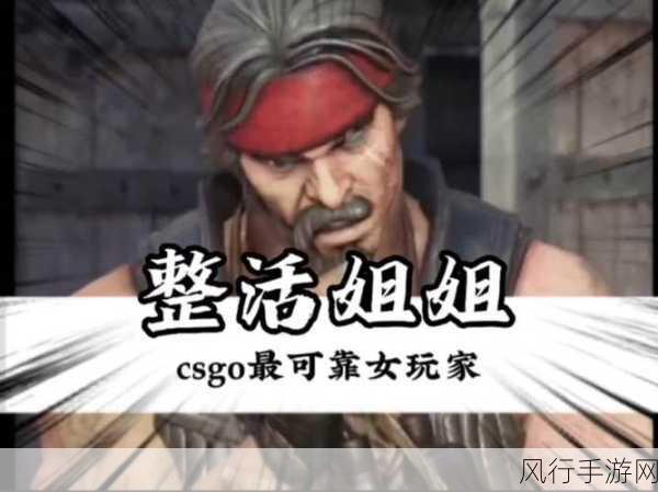 暴躁姐姐CSGO最强角色-暴躁姐姐的CSGO传奇:最强角色解析与实战攻略