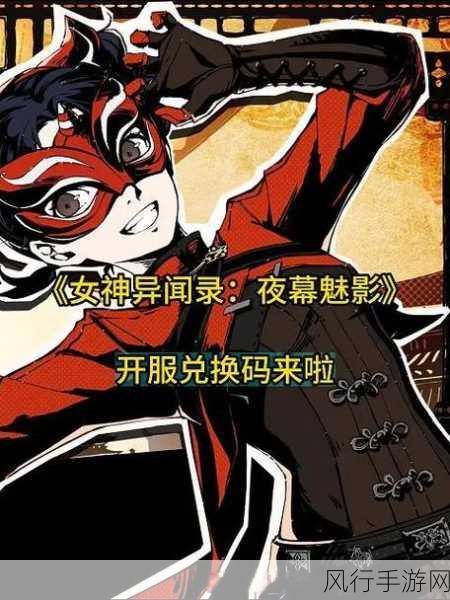 女神异闻录夜幕魅影课堂问题全解析