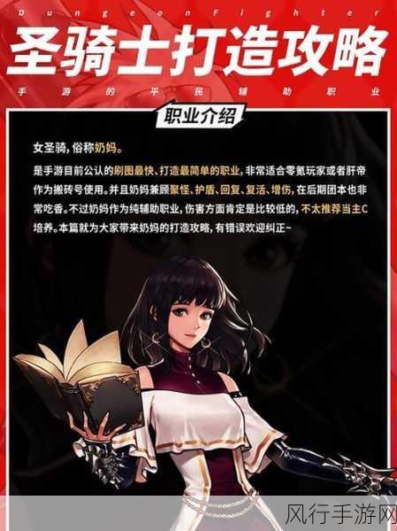 DNF手游圣职者技能加点策略,2024年财经视角下的优化指南