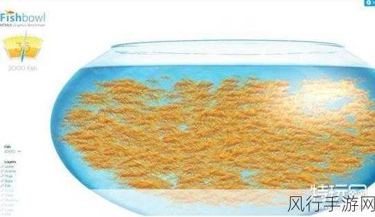 探索 Fishbowl 鱼缸测试网址之谜