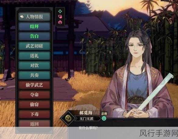可以随便侵犯npc界面怎么退出小说-在无限游戏世界中如何优雅退出NPC界面