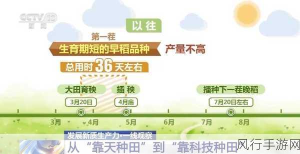 亚洲一线产区二线产-推动亚洲一线产区与二线产业的协同发展新策略