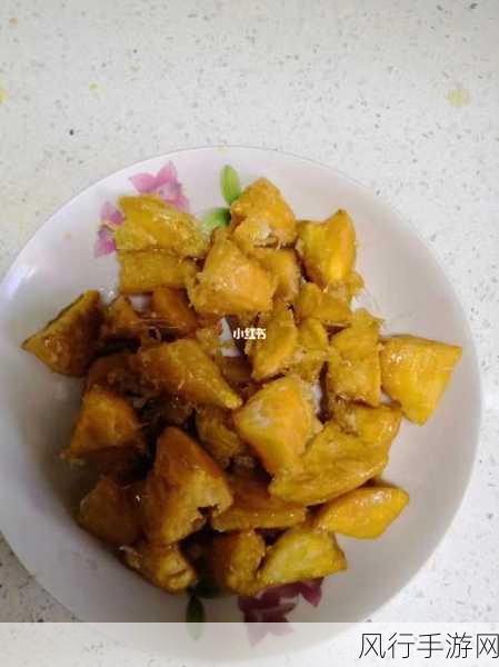 沈阳老阿姨叫的巅峰-沈阳老阿姨的巅峰之声:传统与现代碰撞的精彩瞬间