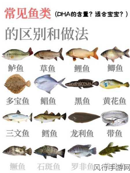 波西亚时光,全鱼类分布与财经价值深度解析