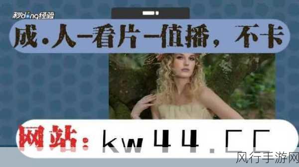麻豆导航入口-探索麻豆导航入口,畅享全新在线体验与资源分享