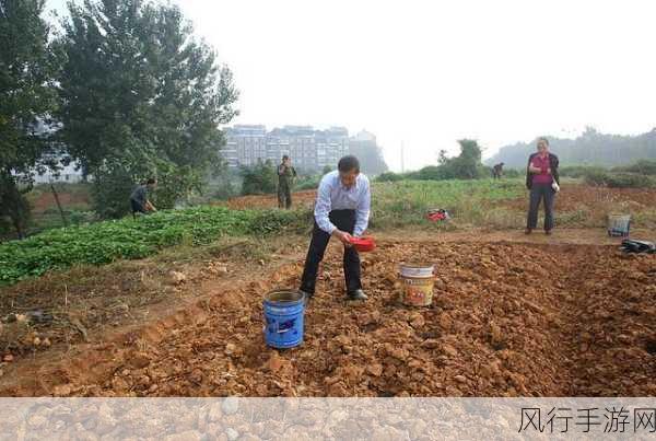 开垦母亲肥沃的土地教案-探索与拓展：如何合理开发母亲土壤的丰饶资源