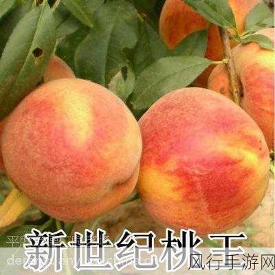 国精产品999一区二区三区密桃-探索国精999系列新品：缤纷密桃口味，尽享绝妙体验！