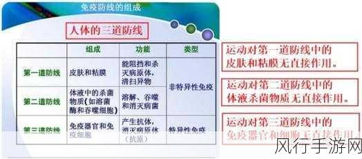 掌握独立防线的致胜秘诀