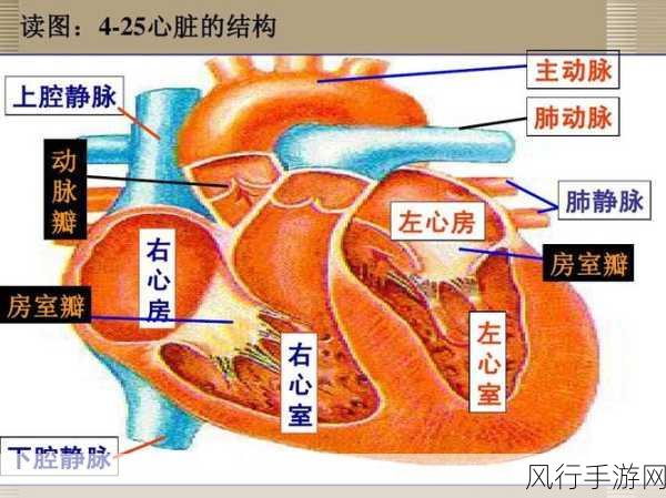 9浅一深左3右3的真正含义-深入探讨9个浅层主题，横向扩展3个深度领域的综合分析