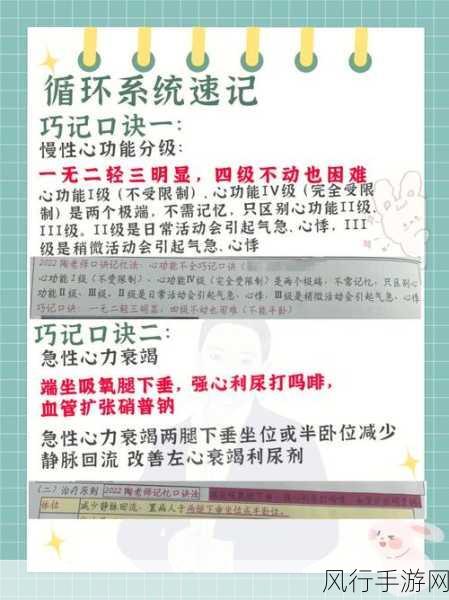 探秘魔塔 20 层,通关秘籍与策略指南