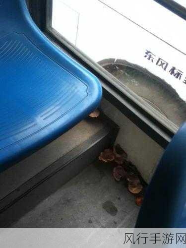 大巴最后一排被强c细节-最后一排的大巴之旅:意外强C的细腻瞬间