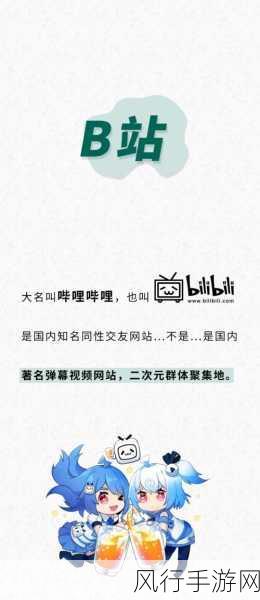 十八款夜间禁用b站大全-夜间禁用B站精选：十八款让你无法自拔的精彩内容