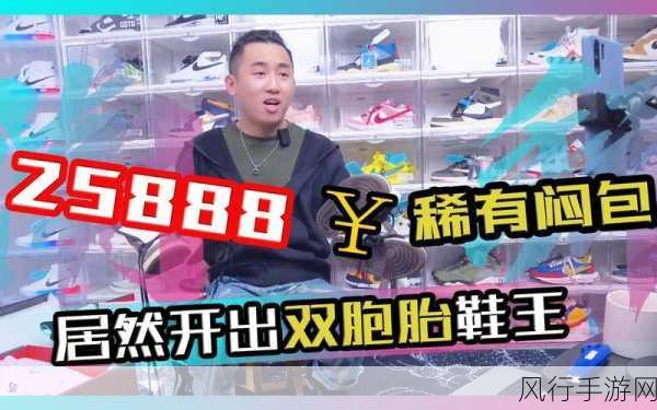 香蕉视频25888-探索香蕉视频25888：发现无限精彩与乐趣的视听世界