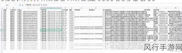 D加密 破解-深入解析D加密技术及其破解方法的全新视角