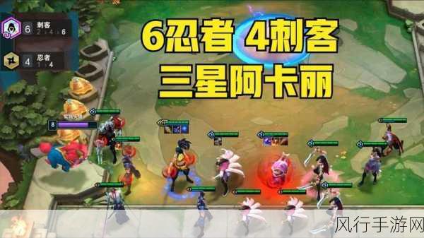 云顶之弈4忍者6刺客阵容深度解析,策略与玩法全揭秘