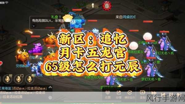 梦幻西游手游龙宫加点策略,深度解析与财经数据