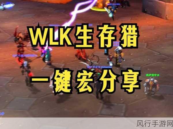 魔兽世界 WLK 武器战一键输出宏，深度解析与实战运用