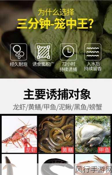 ihlw03黑料网-探索ihlw03黑料网的无限可能与精彩内容分享