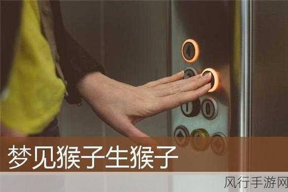 拨萝卜打扑克生猴子-在欢乐的聚会上,拓展游戏与扑克对决生猴子的趣味体验