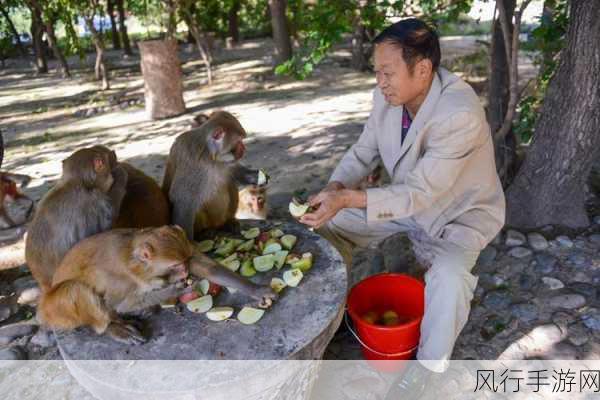 拨萝卜打扑克生猴子-在欢乐的聚会上,拓展游戏与扑克对决生猴子的趣味体验