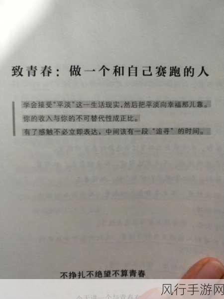 十八岁的网战-青春无畏:揭秘十八岁网战的激情与挑战