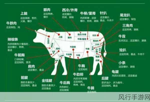 caomei.888-探索草莓的魅力:从种植到美味佳肴的全面指南