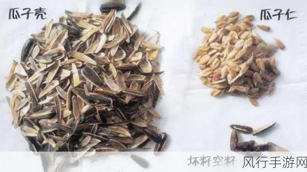 蚂蚁庄园探秘,焦了的瓜子究竟能不能吃?