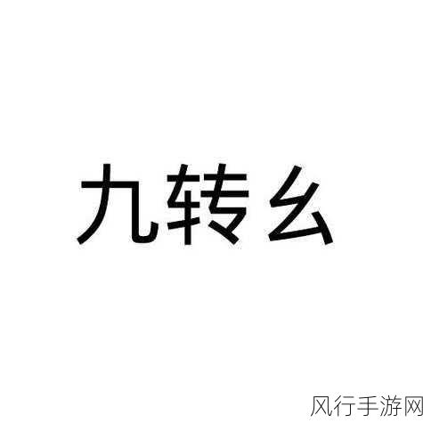 九幺9·1高风险-九幺9·1高风险事件详解与应对策略分析