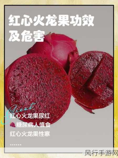 探究红心火龙果比白心火龙果甜的奥秘