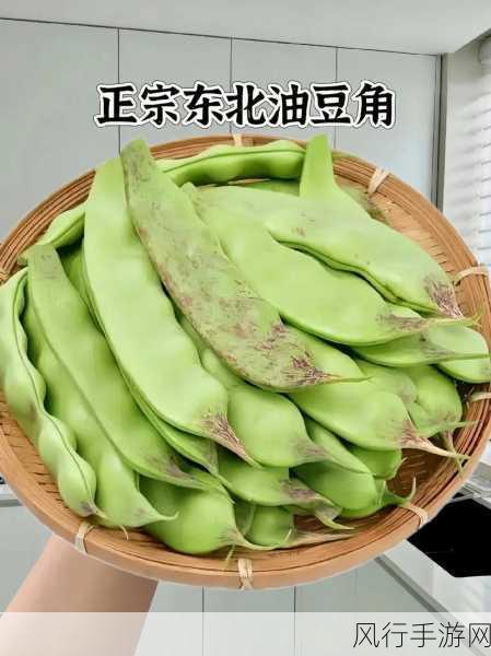 探寻九月青豆角的产地之谜